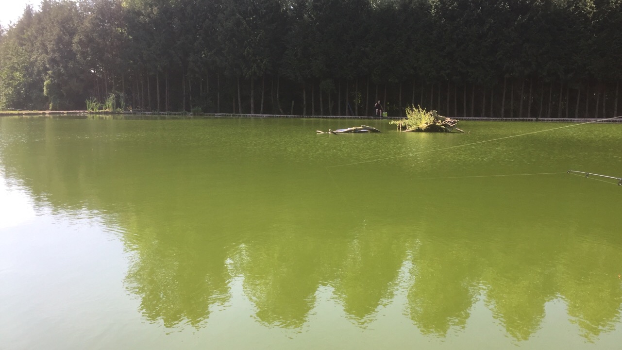 Etangs La Fontaine Bourghelles Nord 59